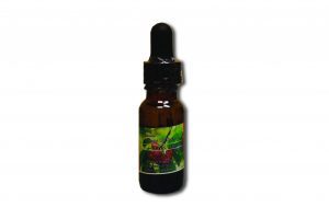 250 mg Cherry CBD Oil