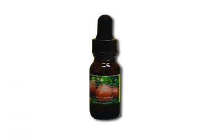 100 mg Apple CBD Oil