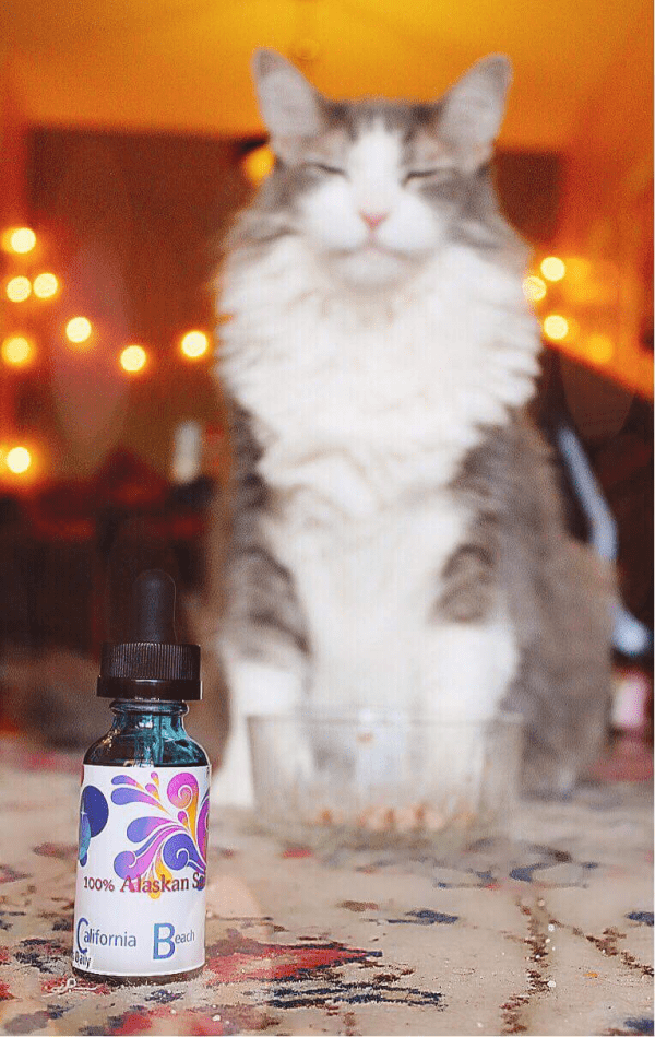 200 mg Pet CBD Oil for cats