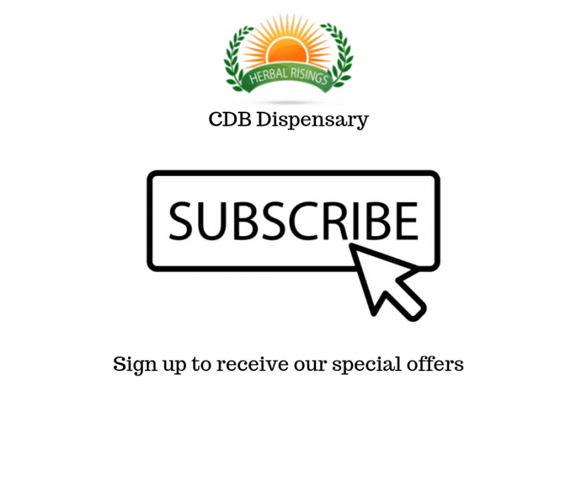 subscribe to our newsletter