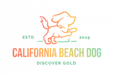 California beach dog